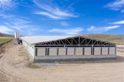 product-400-267 Steel Structure Poultry House