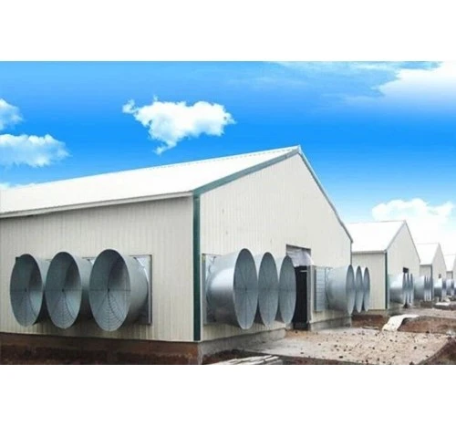 product-500-467 product-500-467